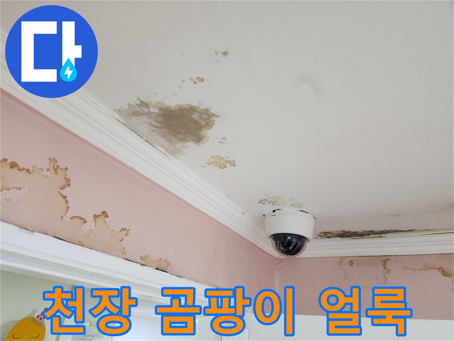 강남구 아파트 천장 벽면의 곰팡이와 누수 흔적