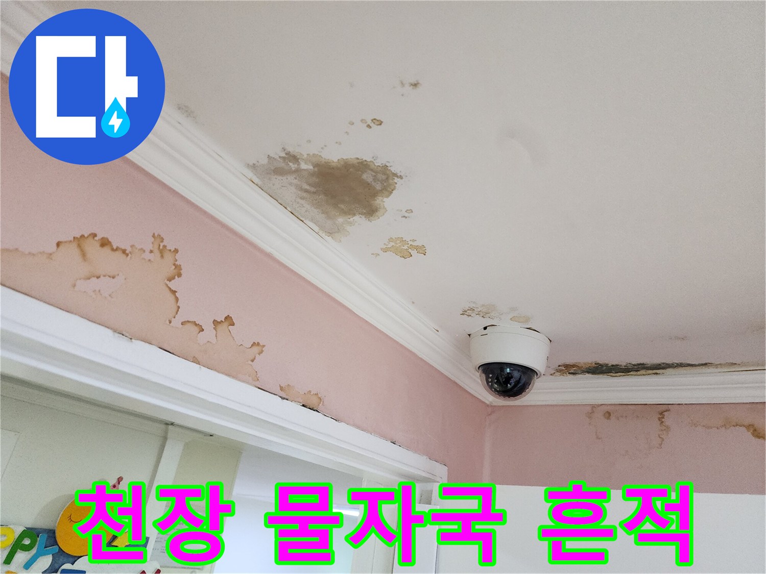 아래층 거실 천장의 누수 변색 및 곰팡이 발생 부위