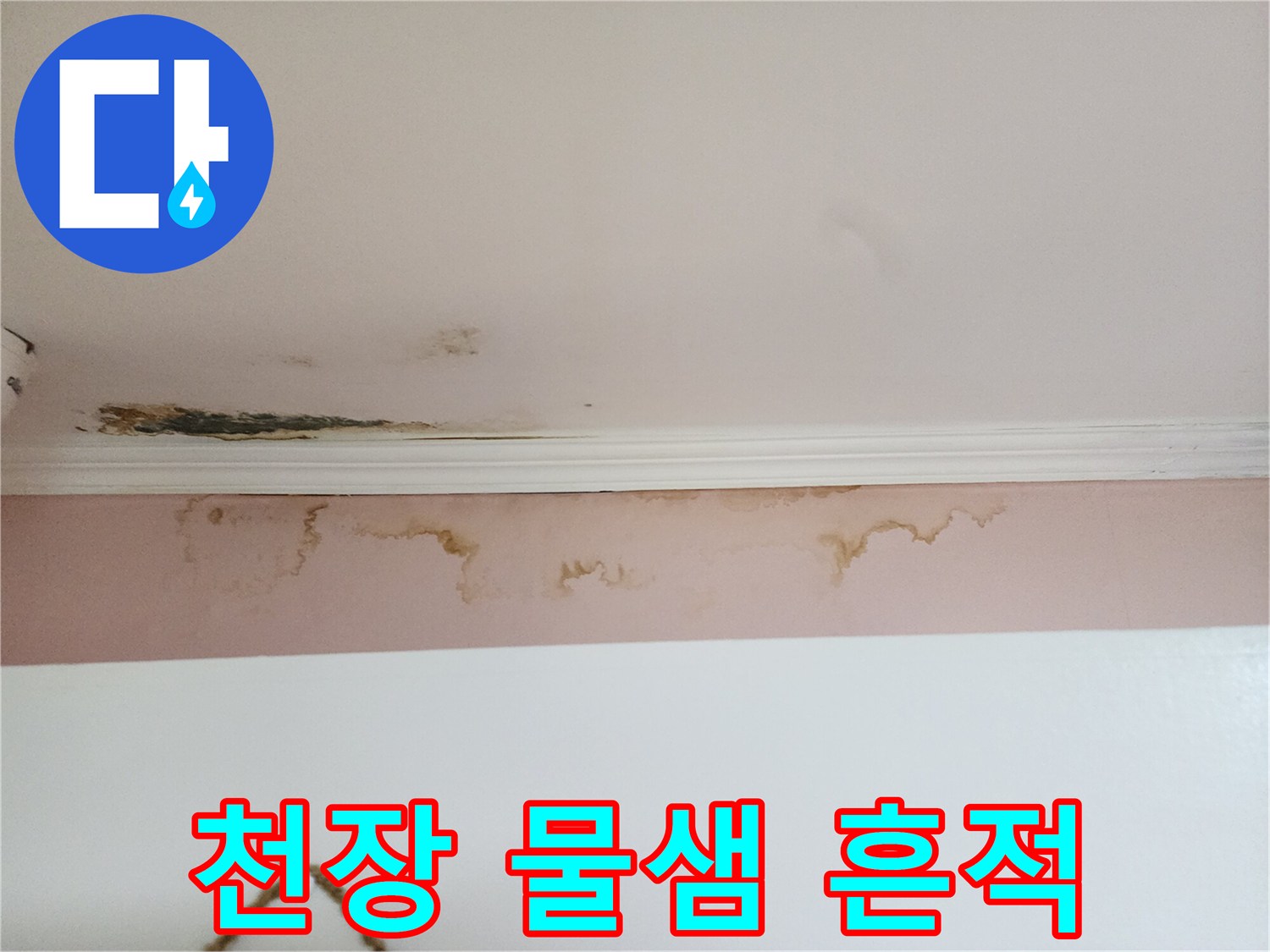 천장-벽면-경계부의-누수-및-곰팡이-침투-상태