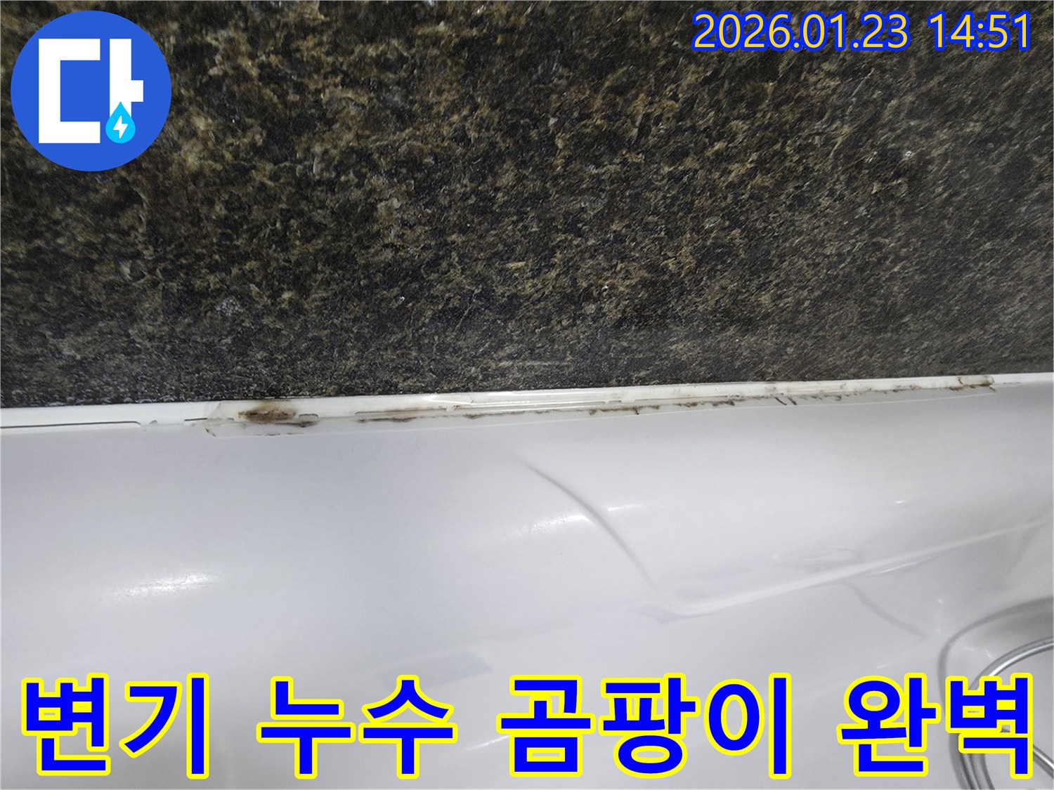파주시 가람동 변기 누수 - 곰팡이 문제, 저희가 완벽하게 해결해 드립니다.
