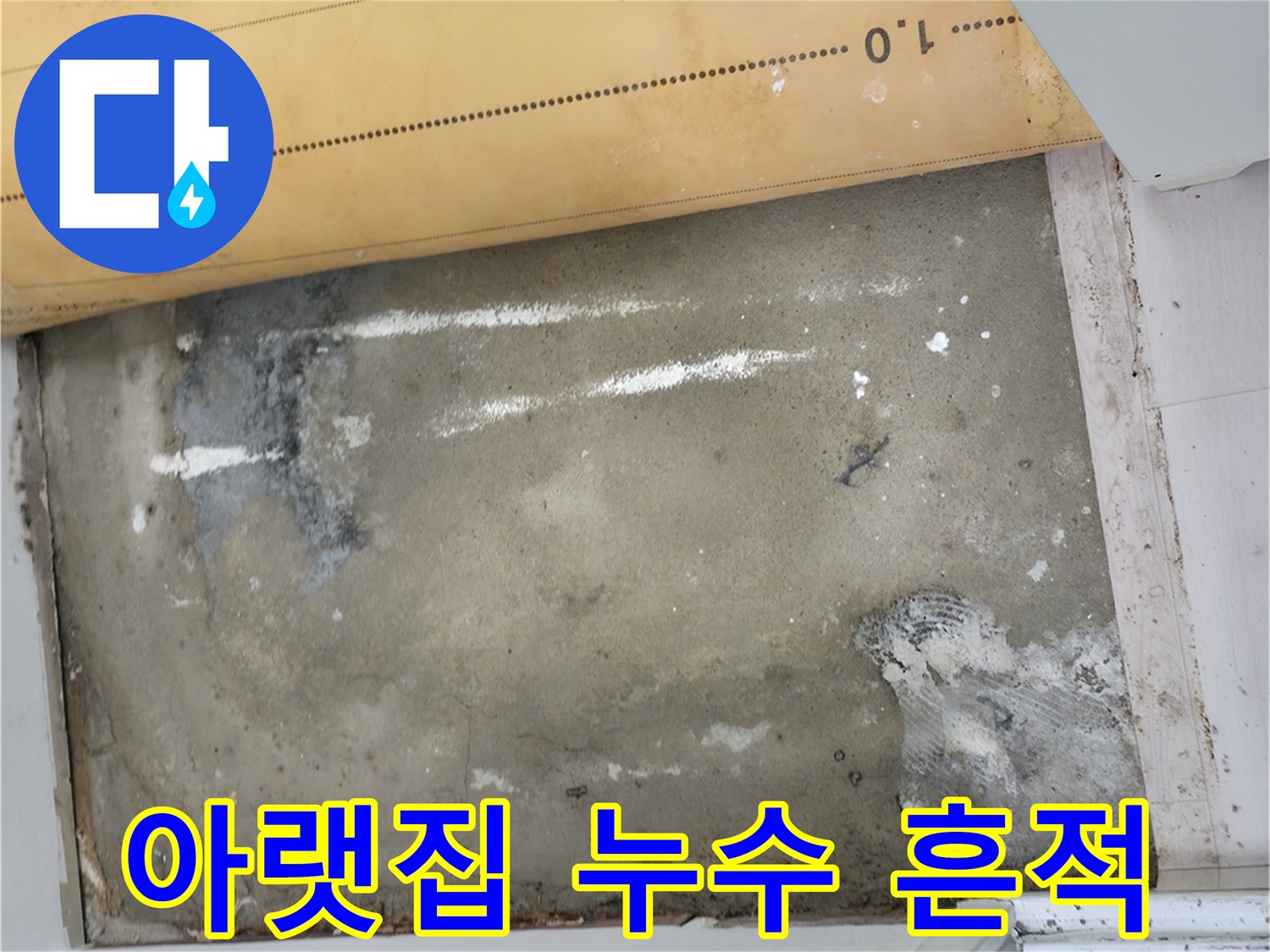 노원구 중계동-아랫집 천장 변색 및 곰양 발생 현장 사진