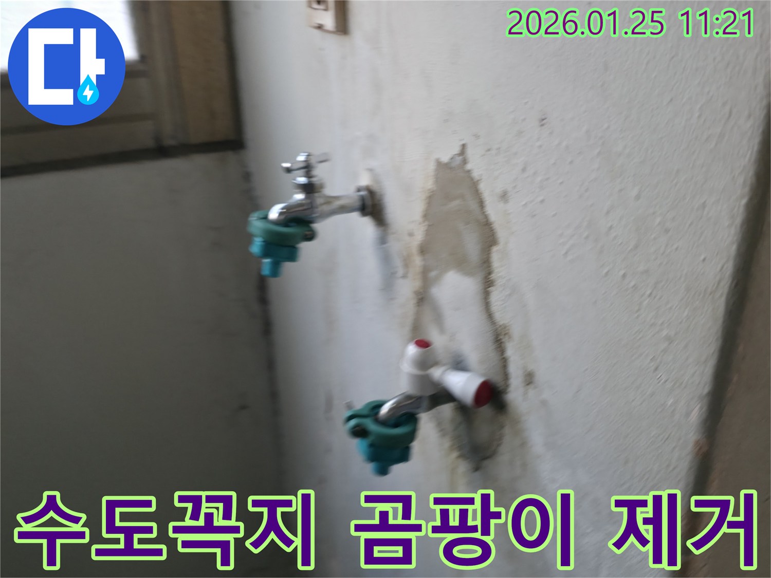 남양주 누수 전문가가 수도꼭지 아래 벽 곰팡이를 완벽하게 제거하고 누수 원인을 해결했습니다 - 곰팡이 걱정 없이 깨끗한 환경!