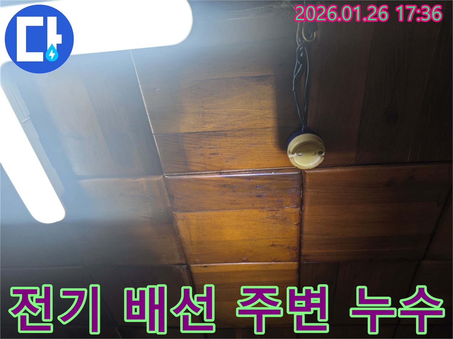 용산구 회나무로 천장 누수 - 전기 배선 주변에서 발견된 누수