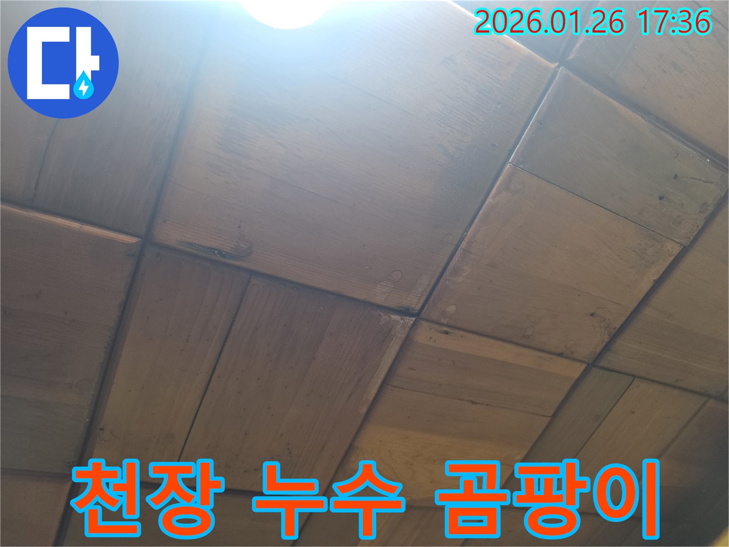 천장 누수 곰팡이 - 누수로 인해 천장에 발생한 곰팡이