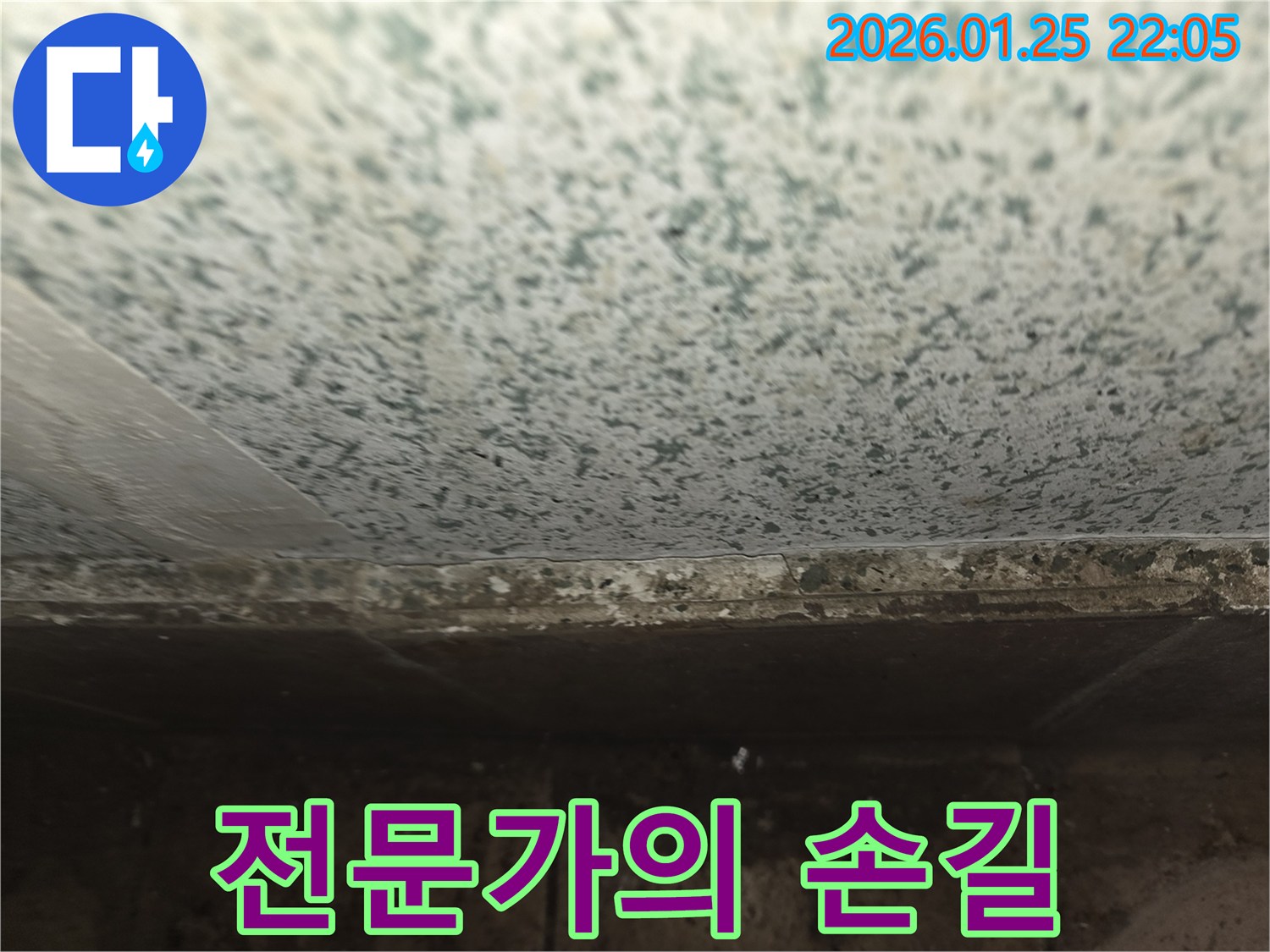 용인 모현 누수 - 천장 곰팡이, 전문가의 손길로 완벽하게 해결!