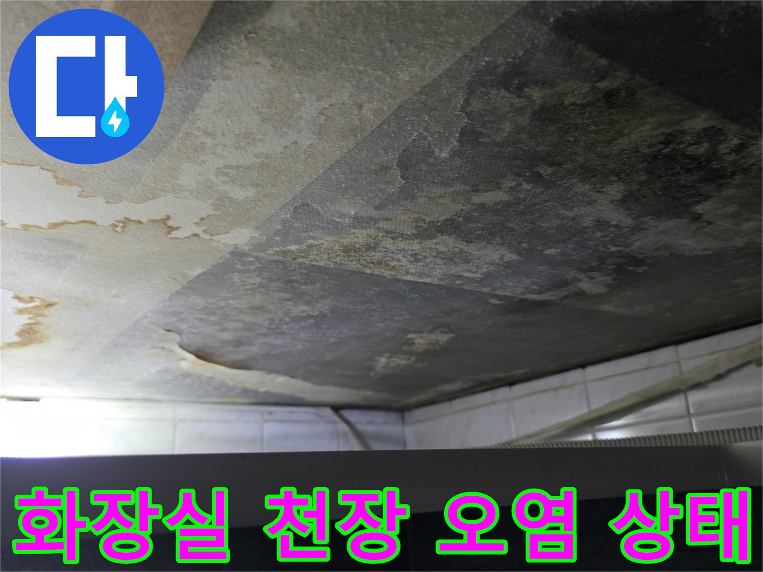 부천 현장-화장실 천장 콘크리트 슬래브의 심한 습기와 검은 곰팡이 흔적