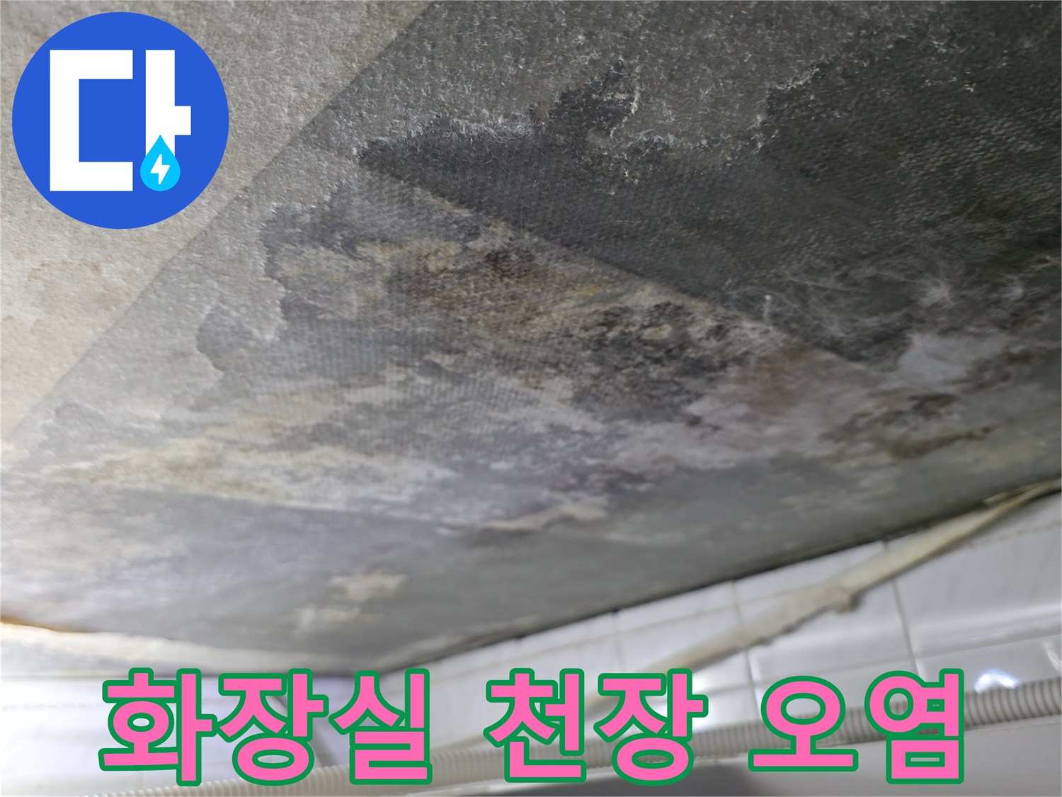 부천 화장실-천장 콘크리트 슬래브의 검은 곰팡이와 습기 흔적
