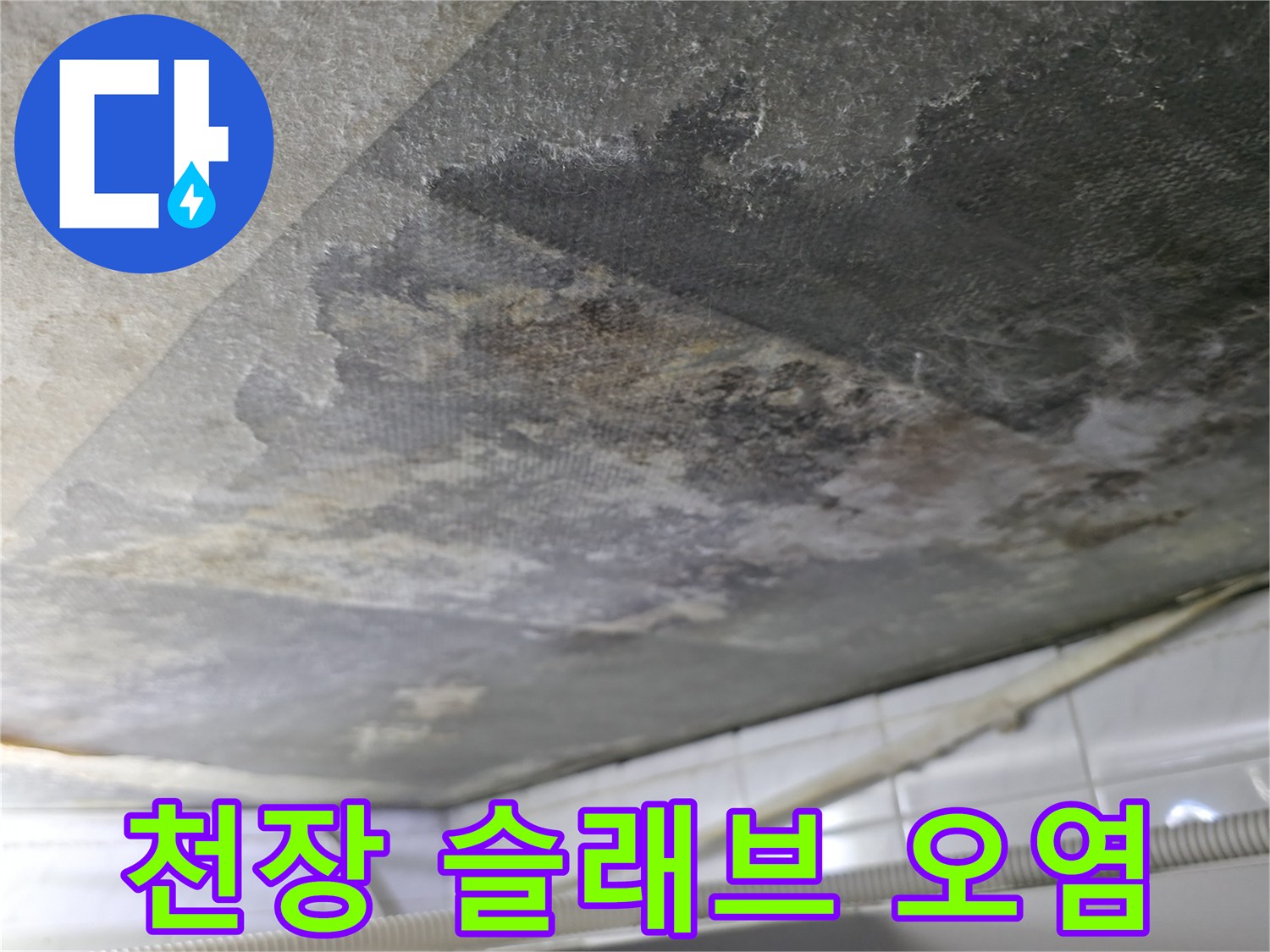 화장실 천장 내부 - 젖은 콘크리트와 함께 나타난 곰팡이 및 변색 부위