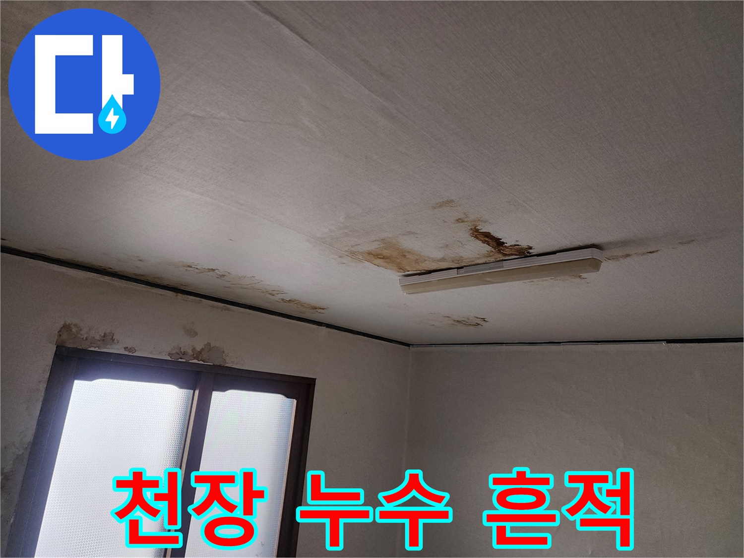아파트 거실 천장에 나타난 불규칙한 물자국 패턴