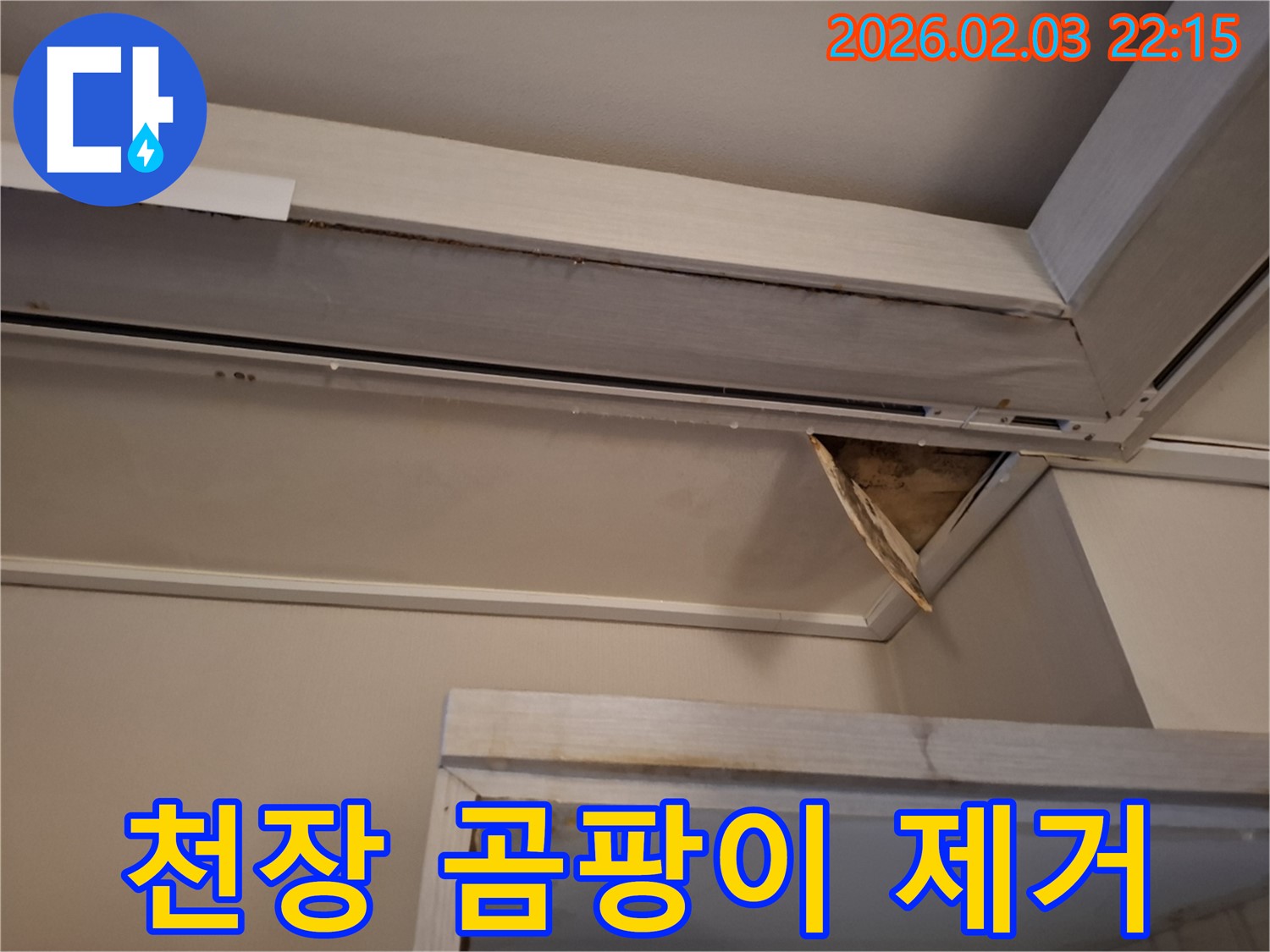 천장 곰팡이 제거 - 건강 위협으로부터 안전하게