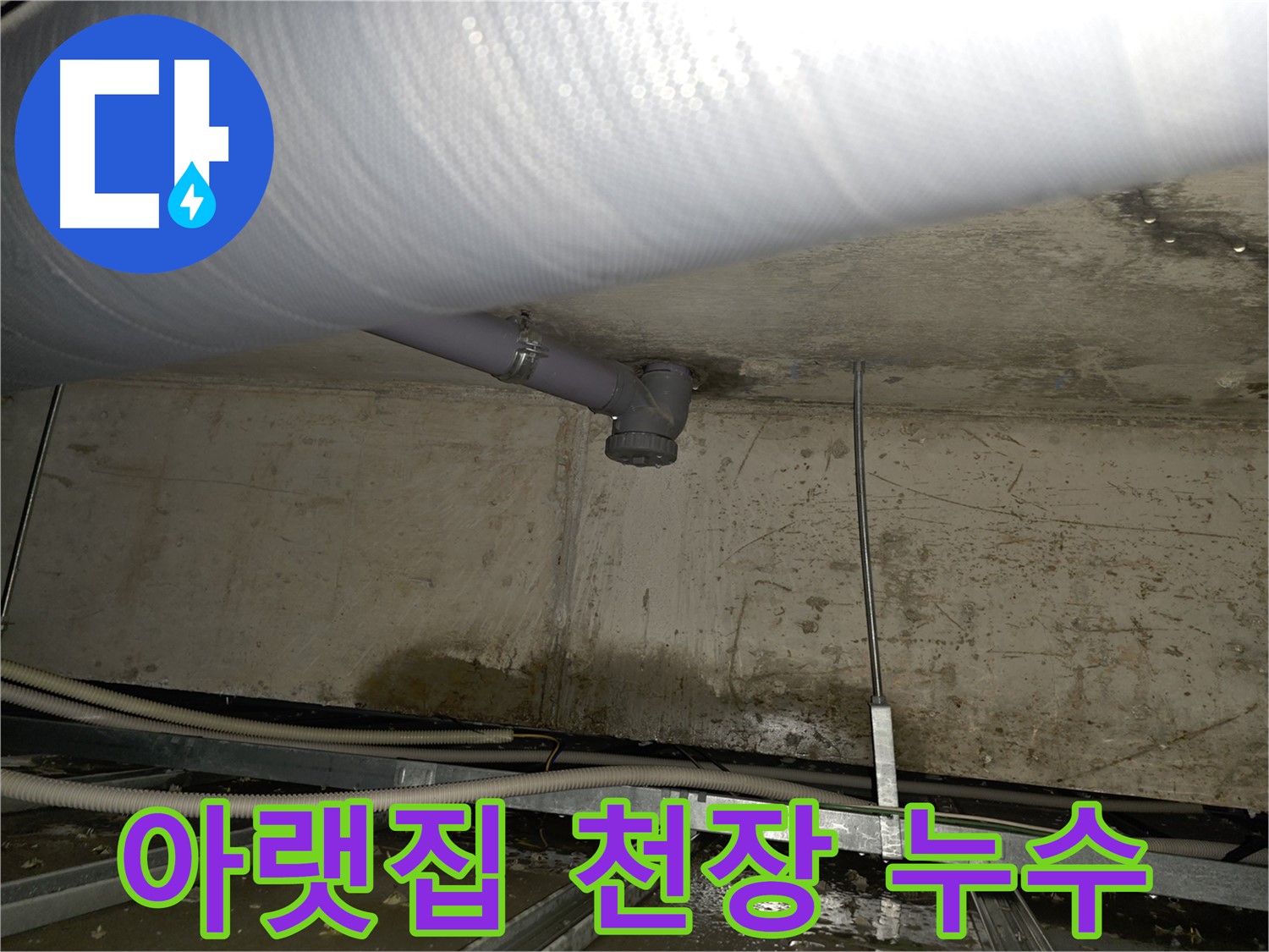 양천구 신정동 하수구 누수 - 아랫집 천장 물 떨어짐 긴급 해결
