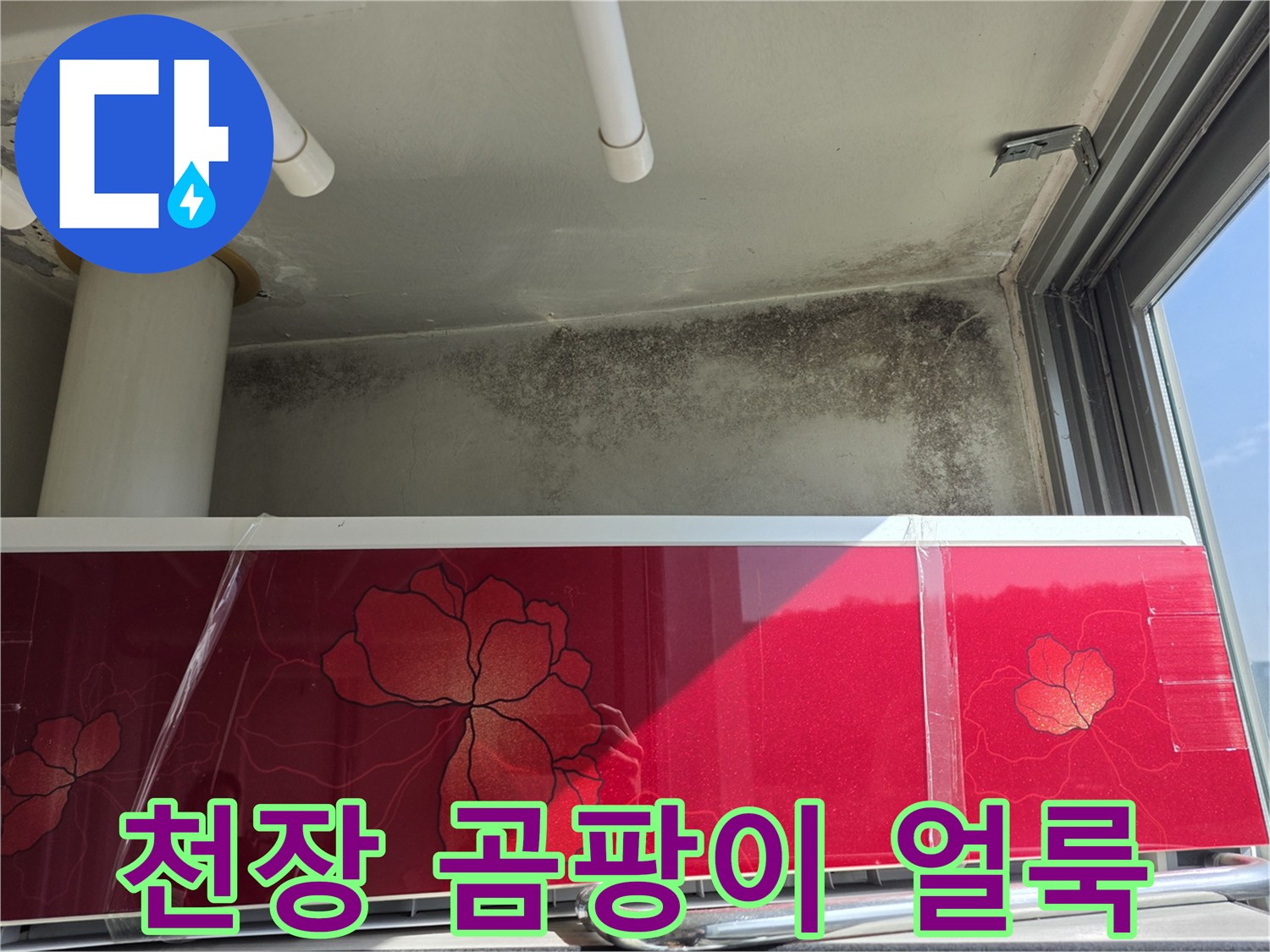 상암동 현장-세탁실 천장 가장자리 곰팡이 오염 부위