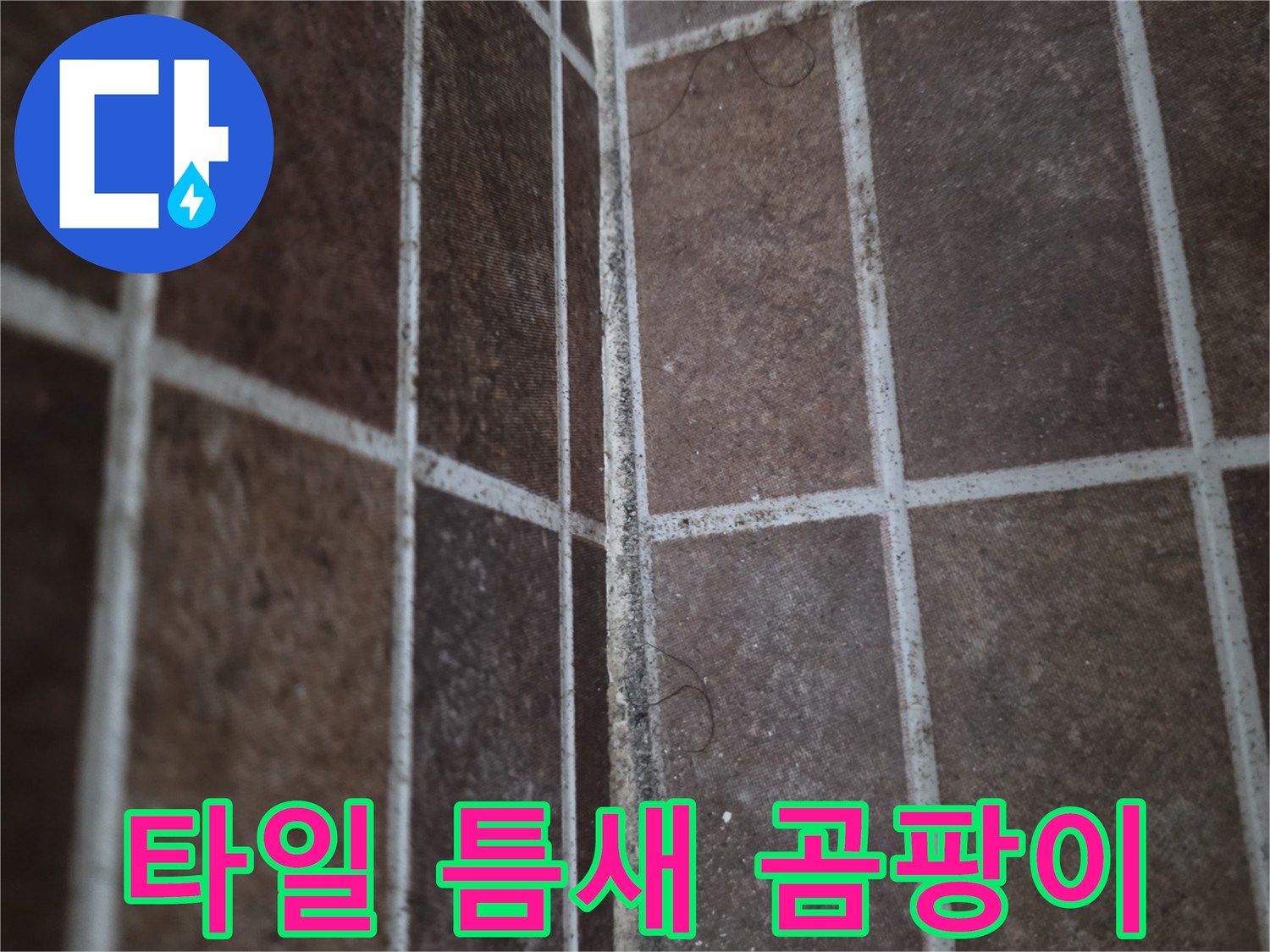 오염된 타일 사이-축축하게 변한 줄눈 상태