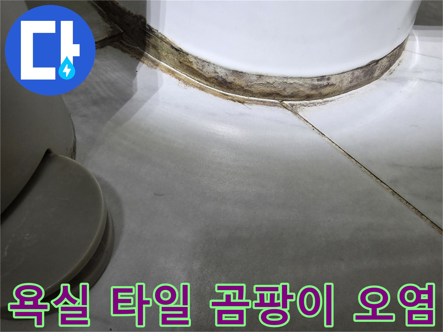 화장실-타일-틈새의-심한-곰팡이와-오염-상태