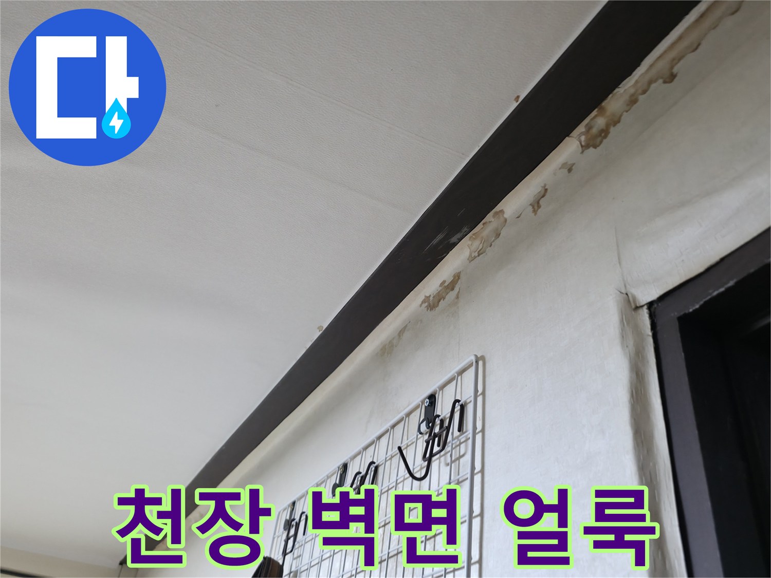 덕양구 현장-거실 천장과 벽면 경계에 발생한 젖은 흔적