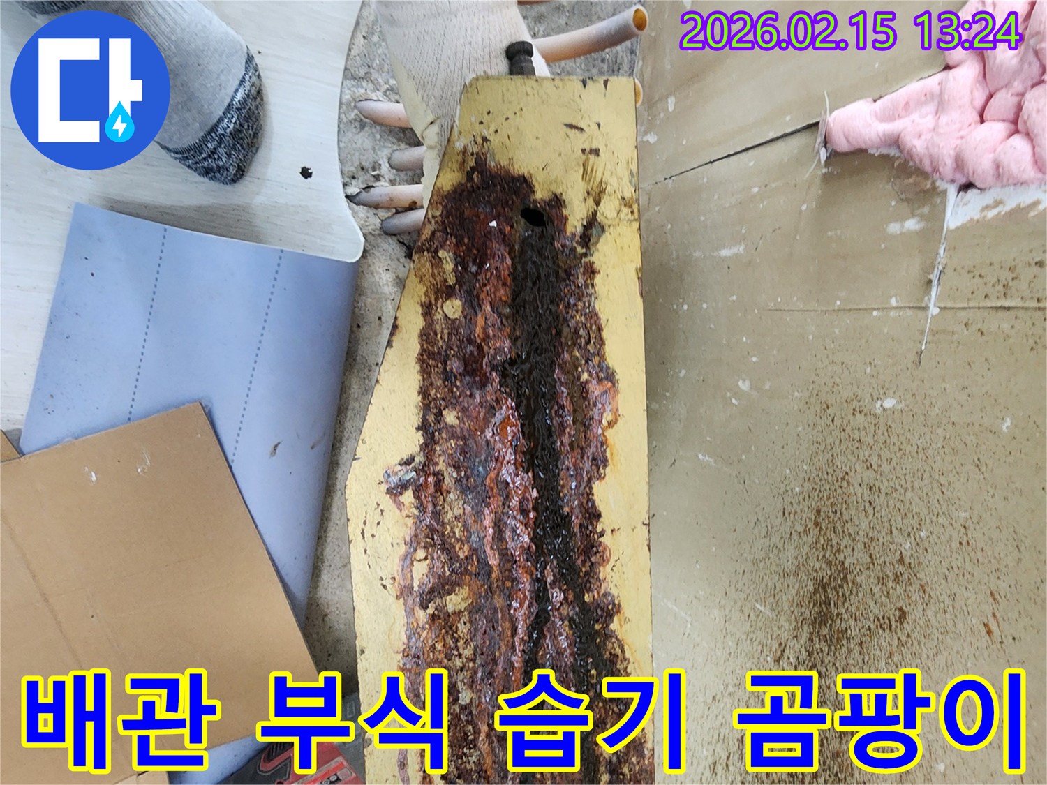 부식된-배관-주변에서-발생한-습기와-곰팡이를-전문가가-점검하고-있습니다