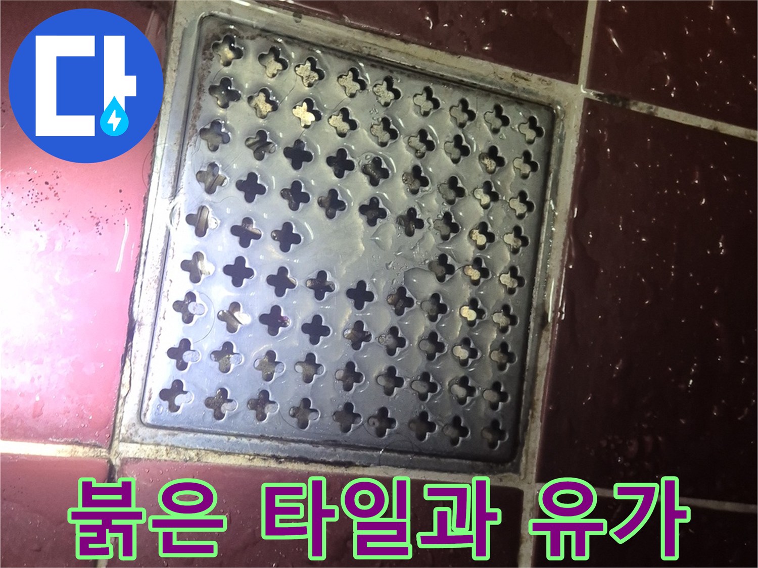 물기가 맺힌 욕실 타일과 배수구 덮개 부위