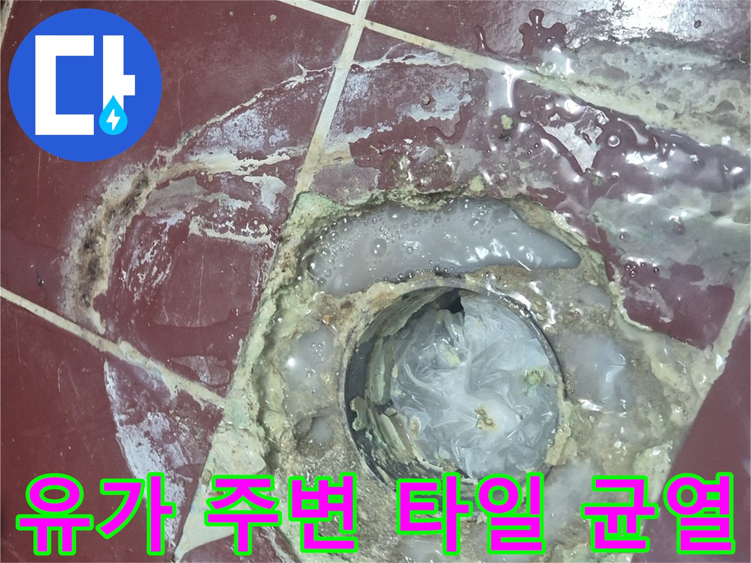 배수구-주변-타일-틈새로-스며든-습기와-오염된-흔적
