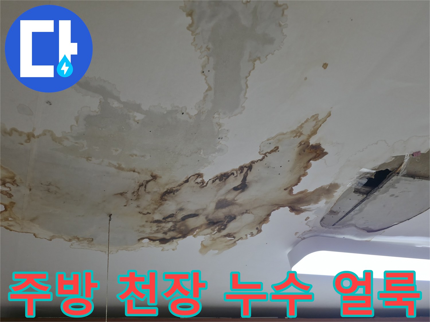 포천 소흘읍 주방 천장의 누수로 인한 갈색 물얼룩과 곰양지 현상