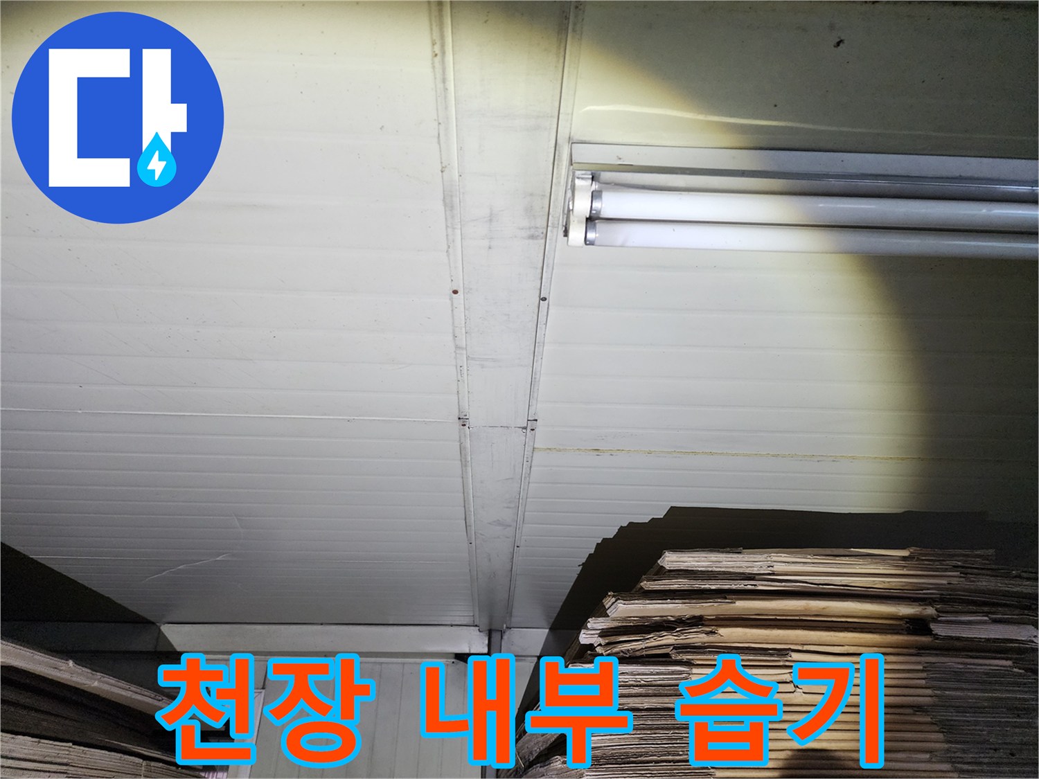 천장 패널 틈새를 통해 나타난 누수 흔적과 물기