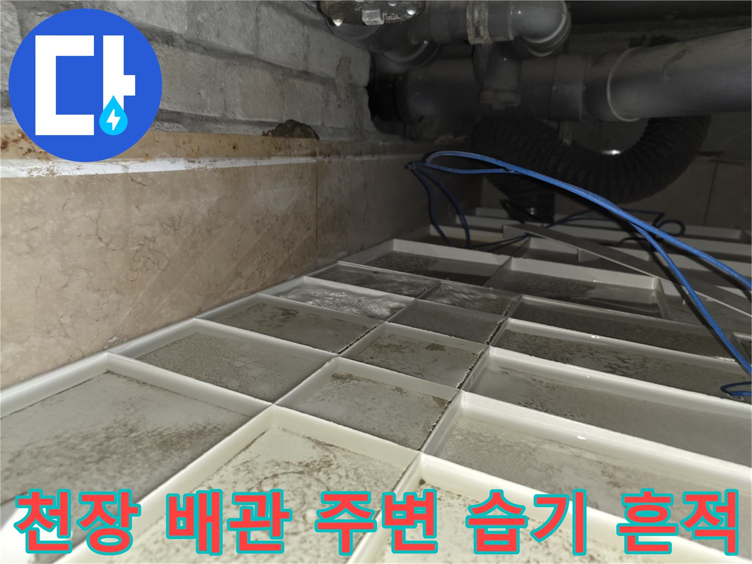 오염된-콘크리트와-젖어있는-배관-주변