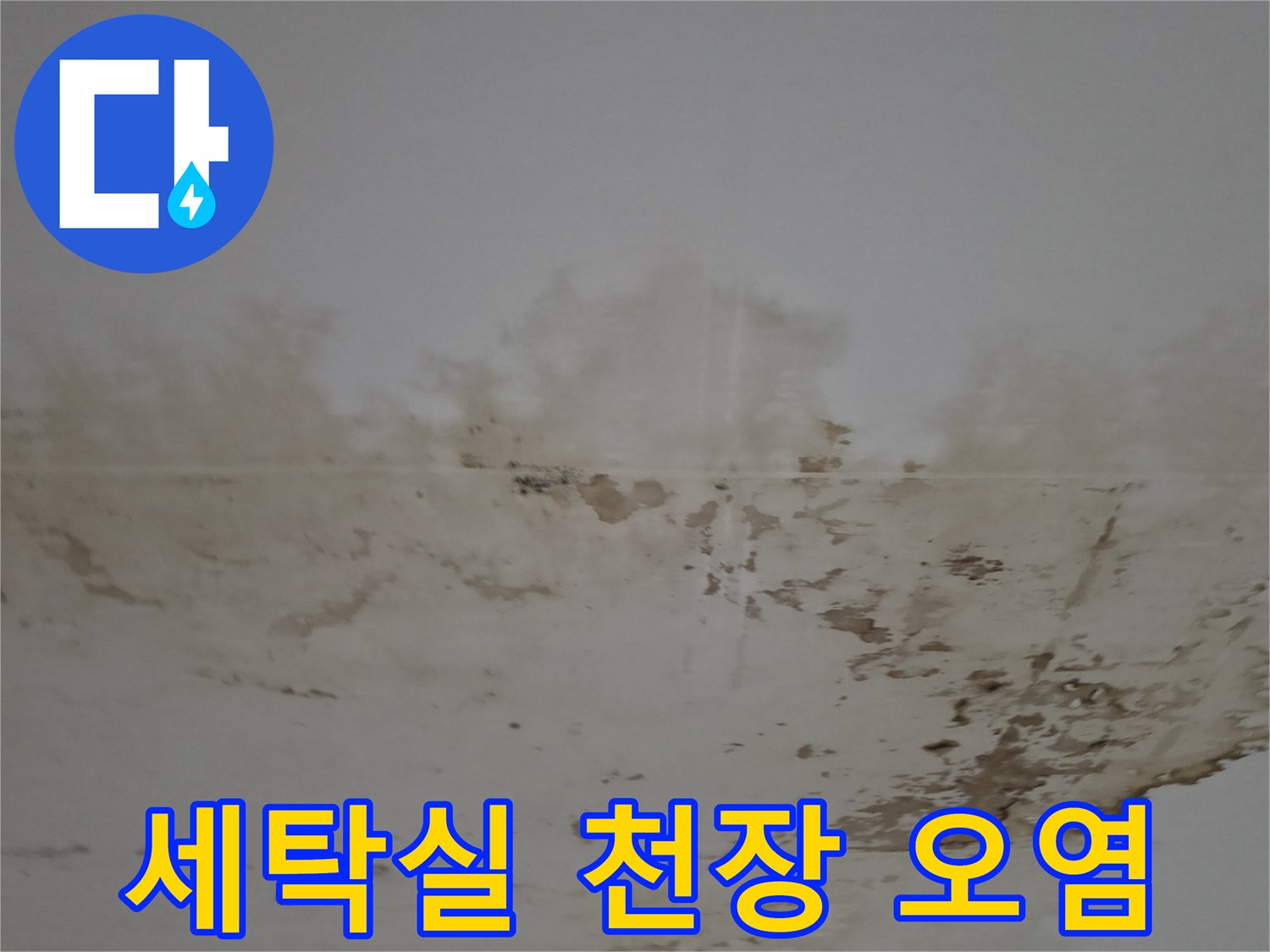 강남구 세탁실-천장 곰팡이 및 변색 상태