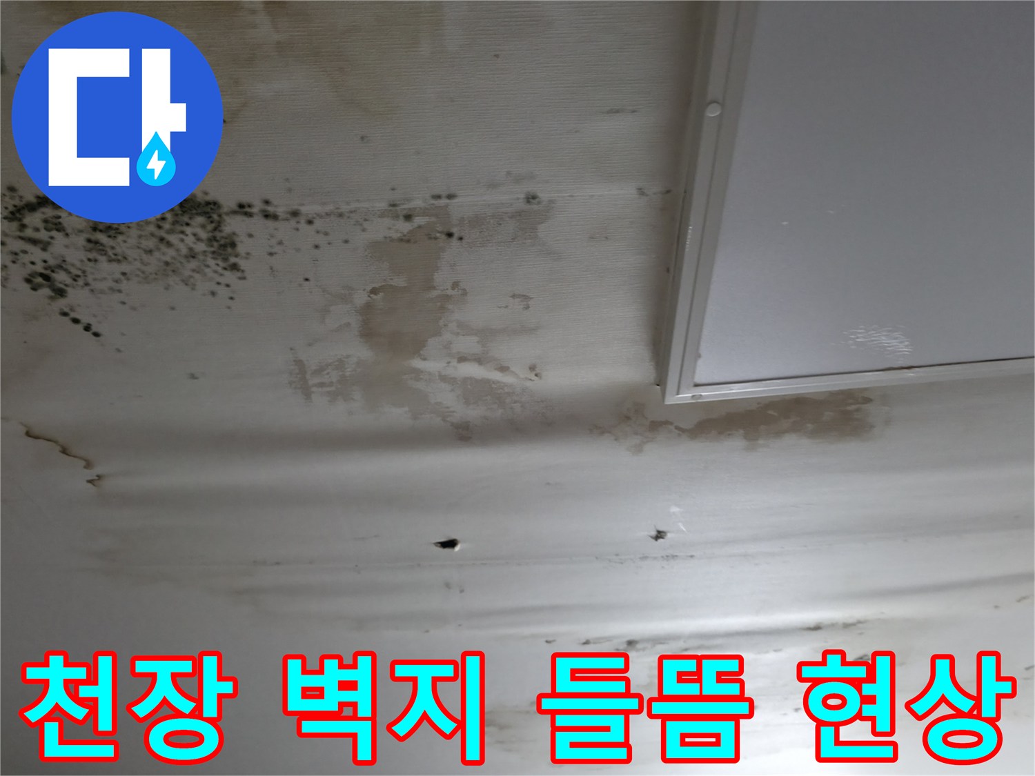 물샘으로 인해 부풀어 오른 천장 도배지 및 얼룩 부위