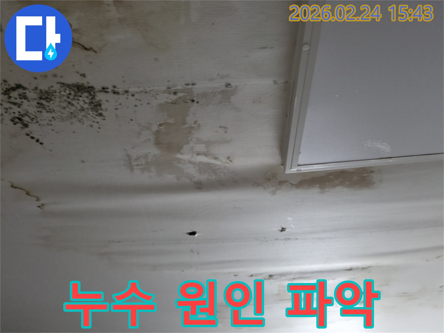천장에-심한-물얼룩과-곰팡이가-발생하여-누수-원인-파악이-필요한-현장-모습