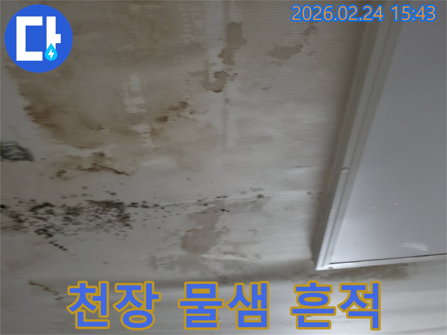 천장에서 물이 새어-벽지가 젖고-얼룩과-곰팡이가 생긴-피해 상황을 보여주는 이미지