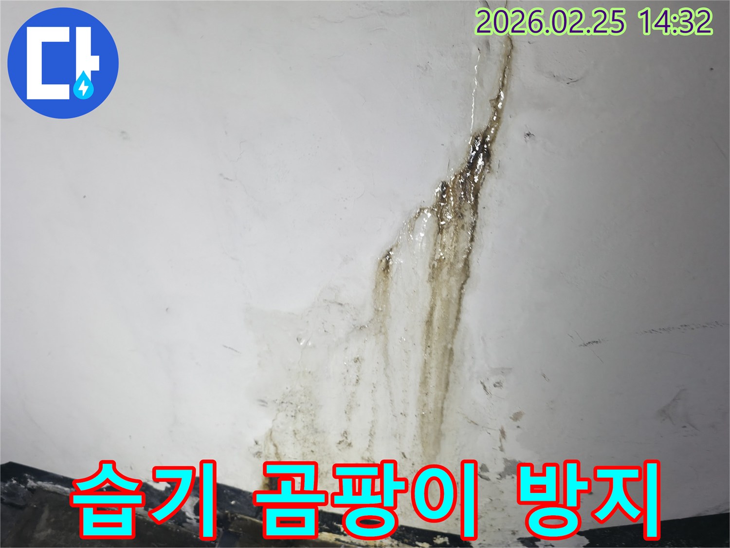 누수로 인해-벽면이 젖고-습기가 가득한-환경에서-곰팡이 발생이-우려되는-현장 사진