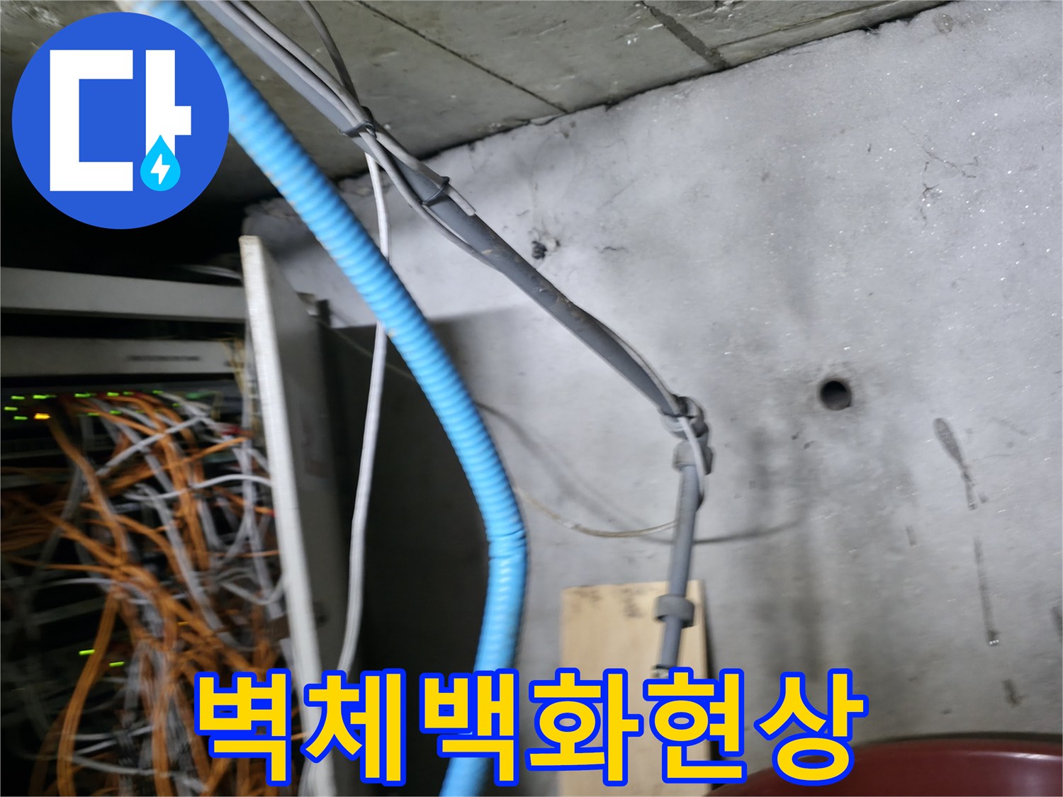 벽면에 발생한 하얀 백화 현상과 누수 자국