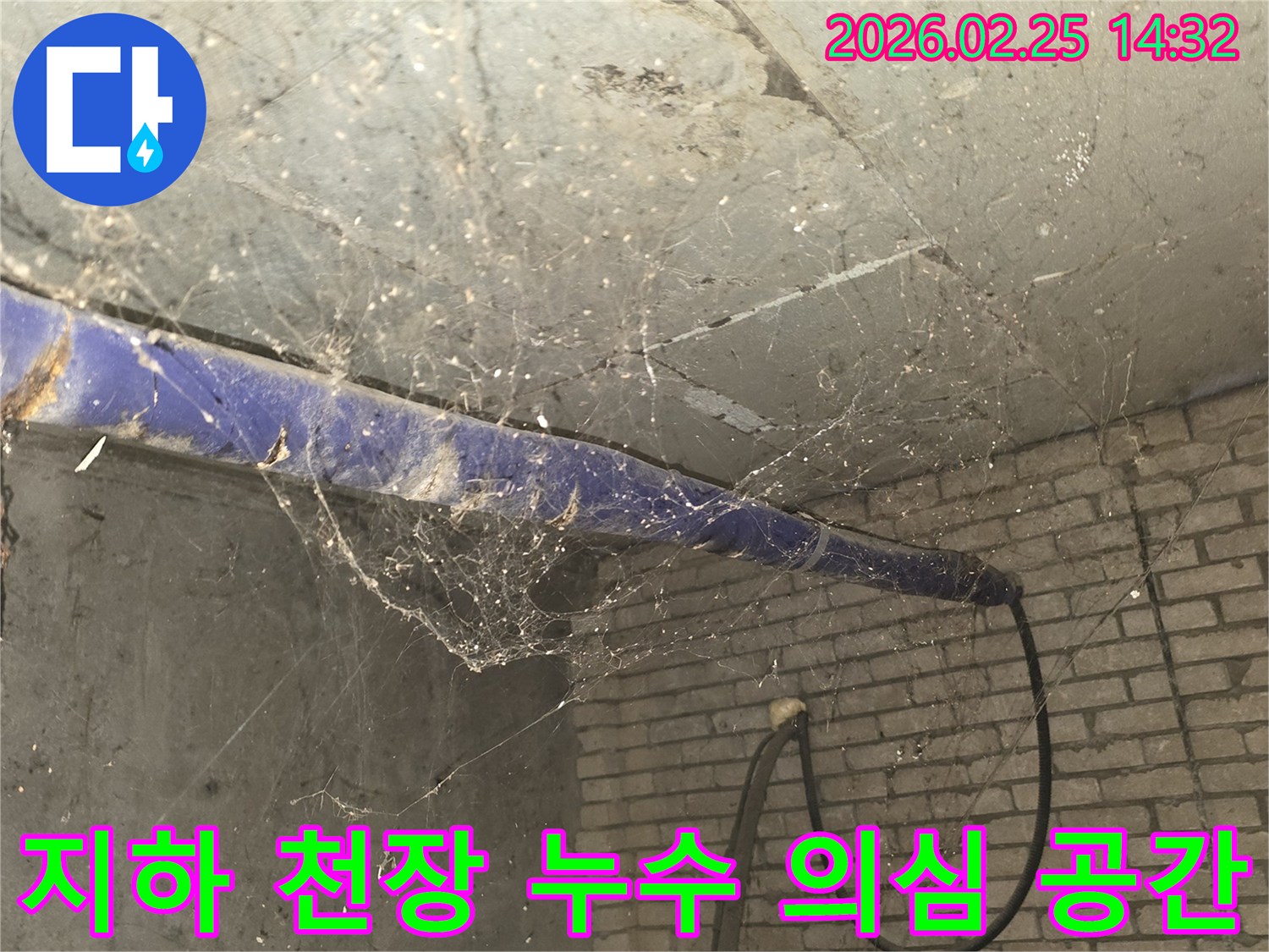 지하 공간의 천장-오랜 시간 방치된 듯한-거미줄과 먼지가 쌓인-누수 탐지 전 상황을 담은 사진입니다.
