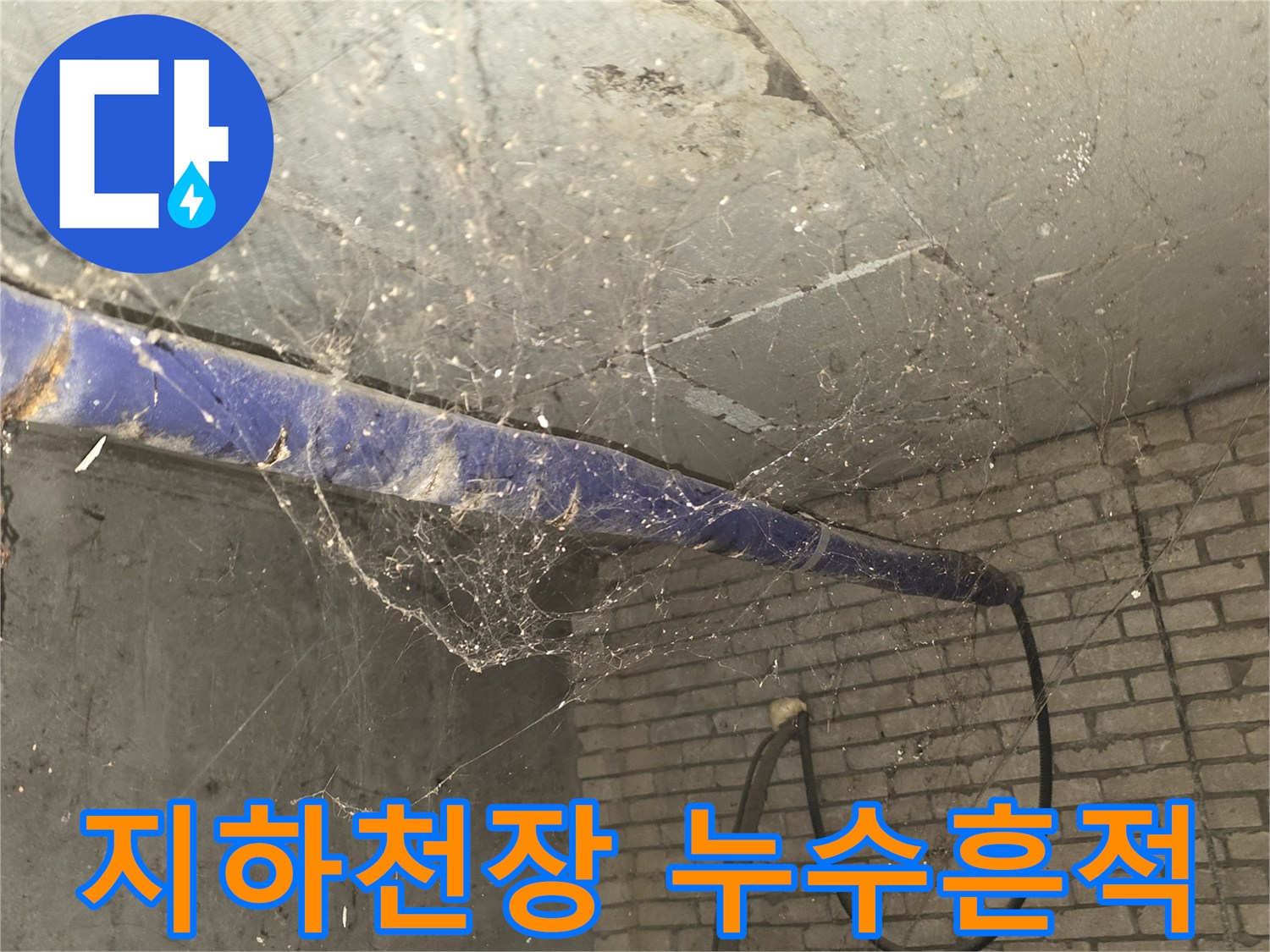 지하 배관실 천장의 누런 오염 자로와 거미줄이 얽힌 모습