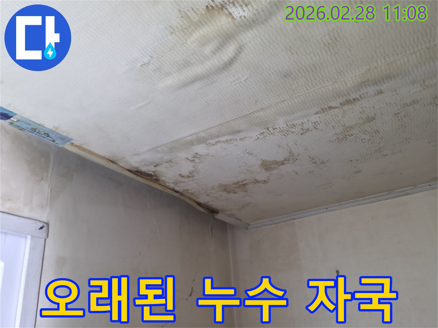 천장-누수로-인해-발생한-곰팡이와-얼룩-패턴