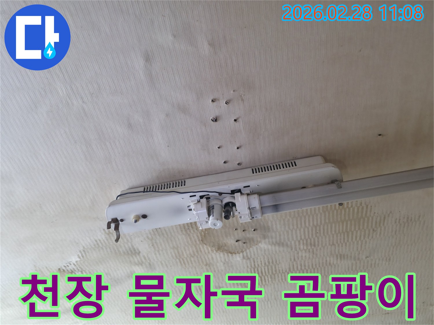 천장에-나타난-물자국과-누수로-인한-초기-곰팡이-발생-징후