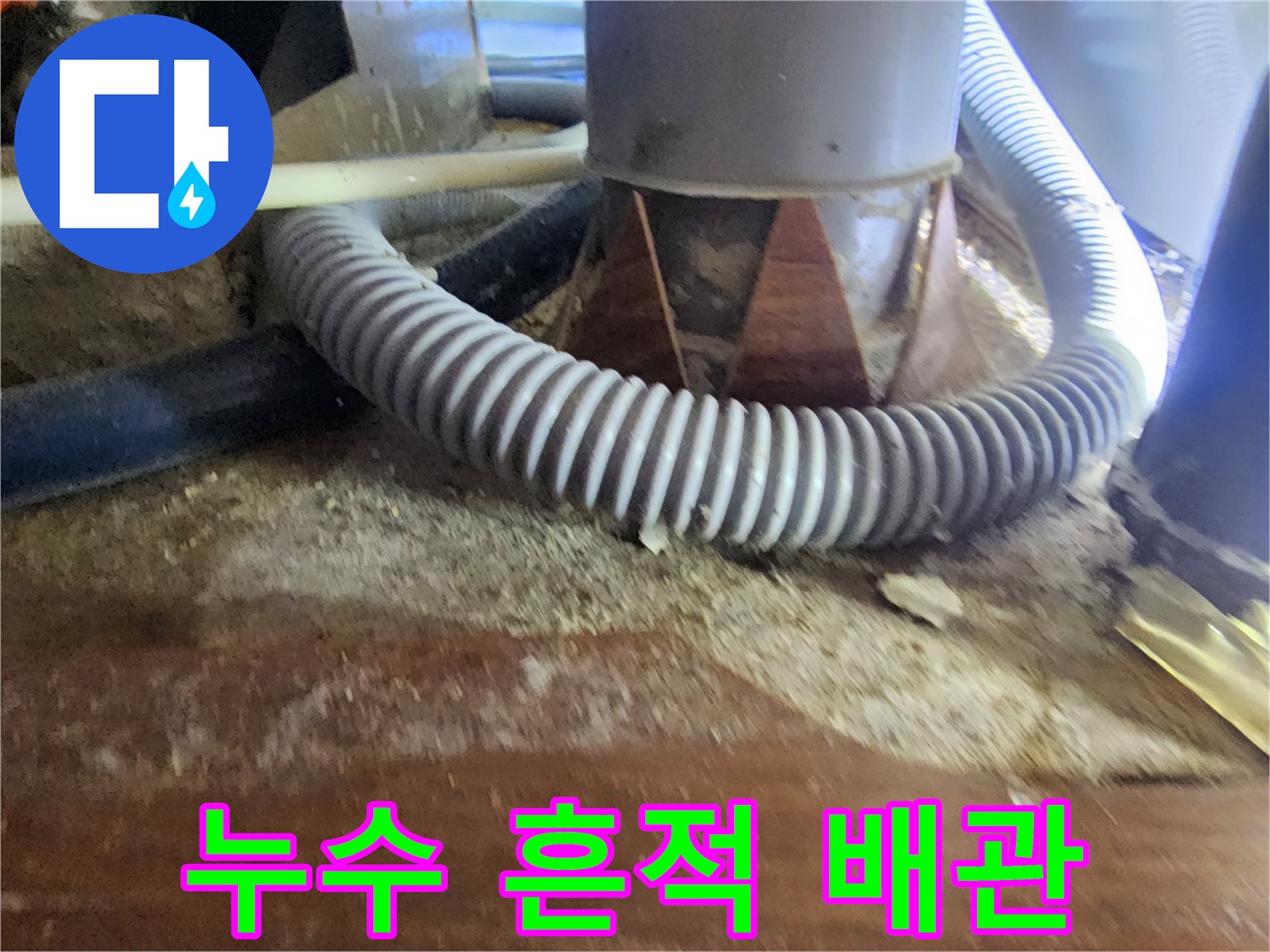 습기를 머금어 변색된 천장 목재와 배관 구조