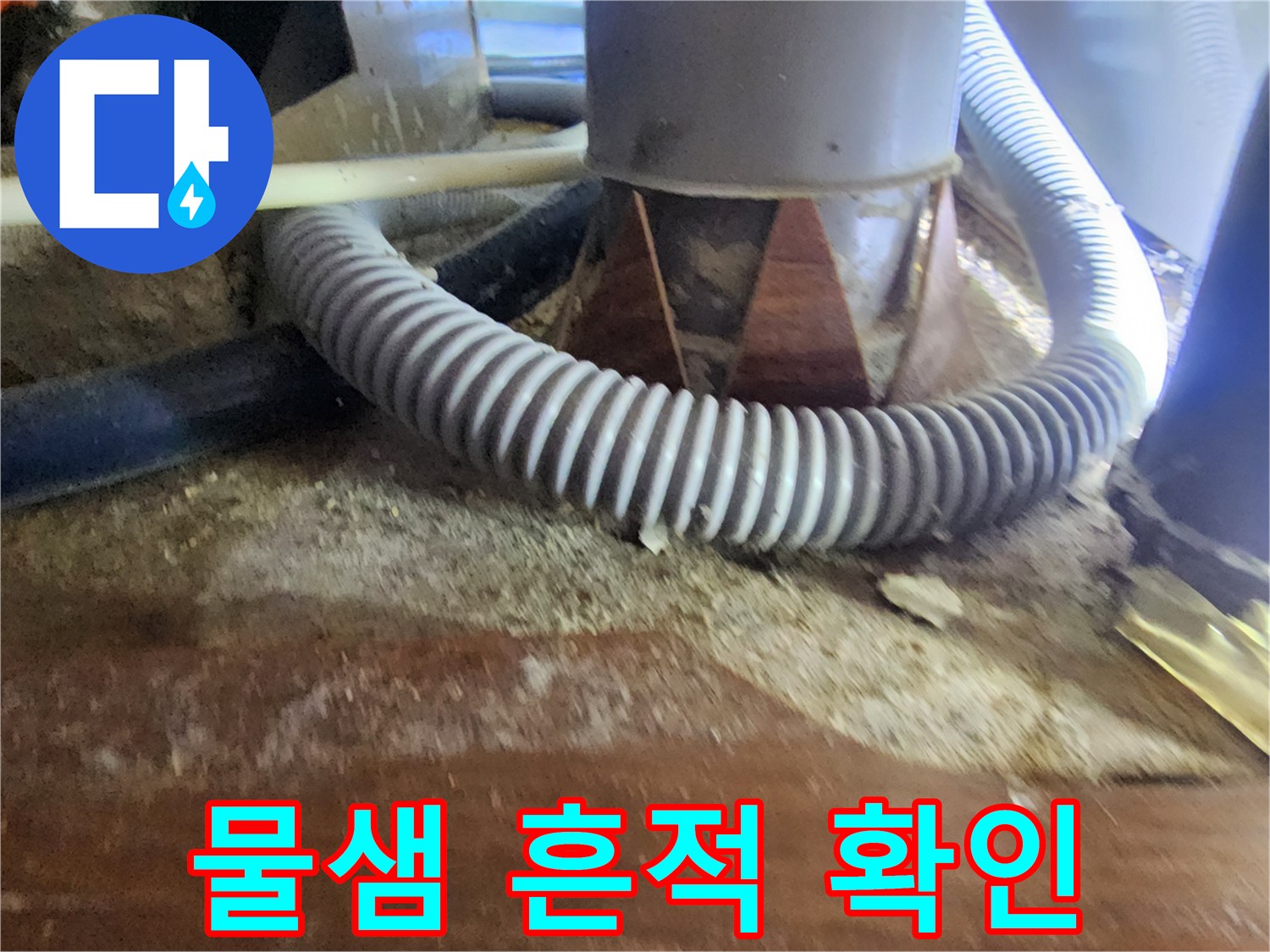 천장 내부 배관 주변의 젖은 목재와 얼룩진 자재