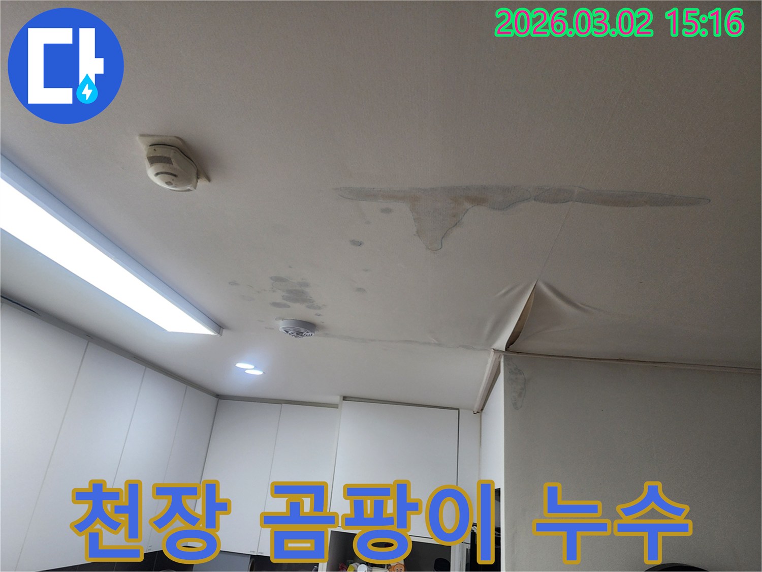 천장-누수로-인해-벽지에-곰팡이가-번식하고-있는-심각한-현장-모습