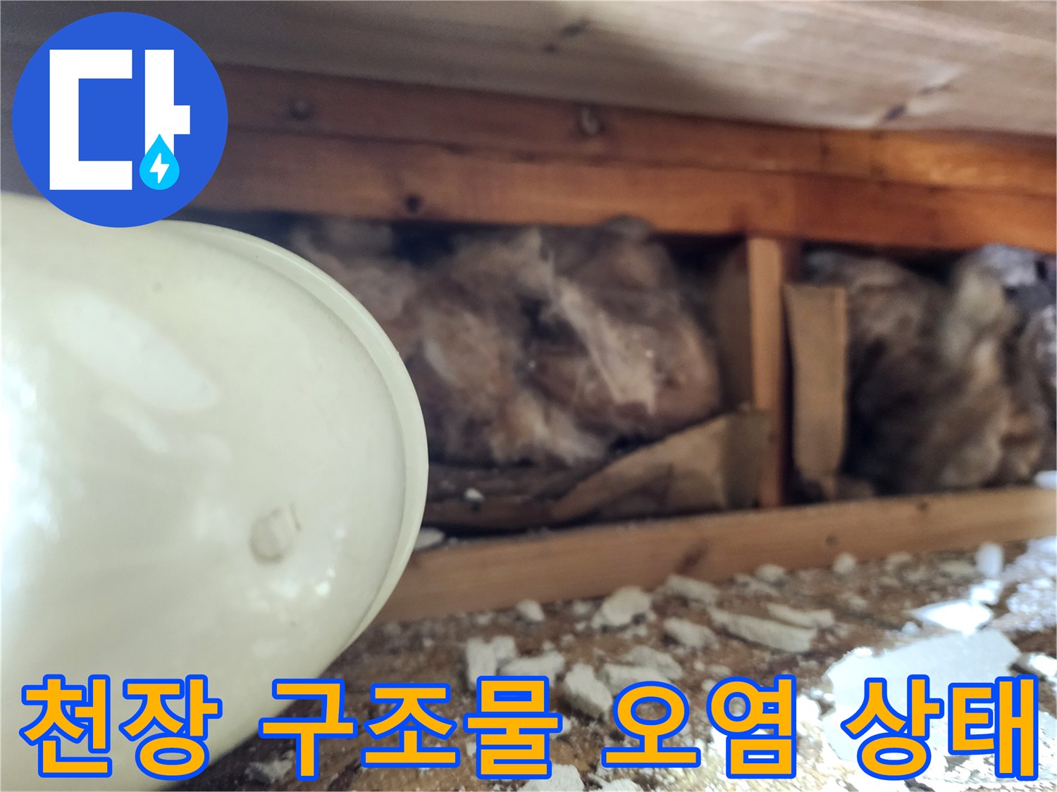 오염된-목재-및-단열재-상태