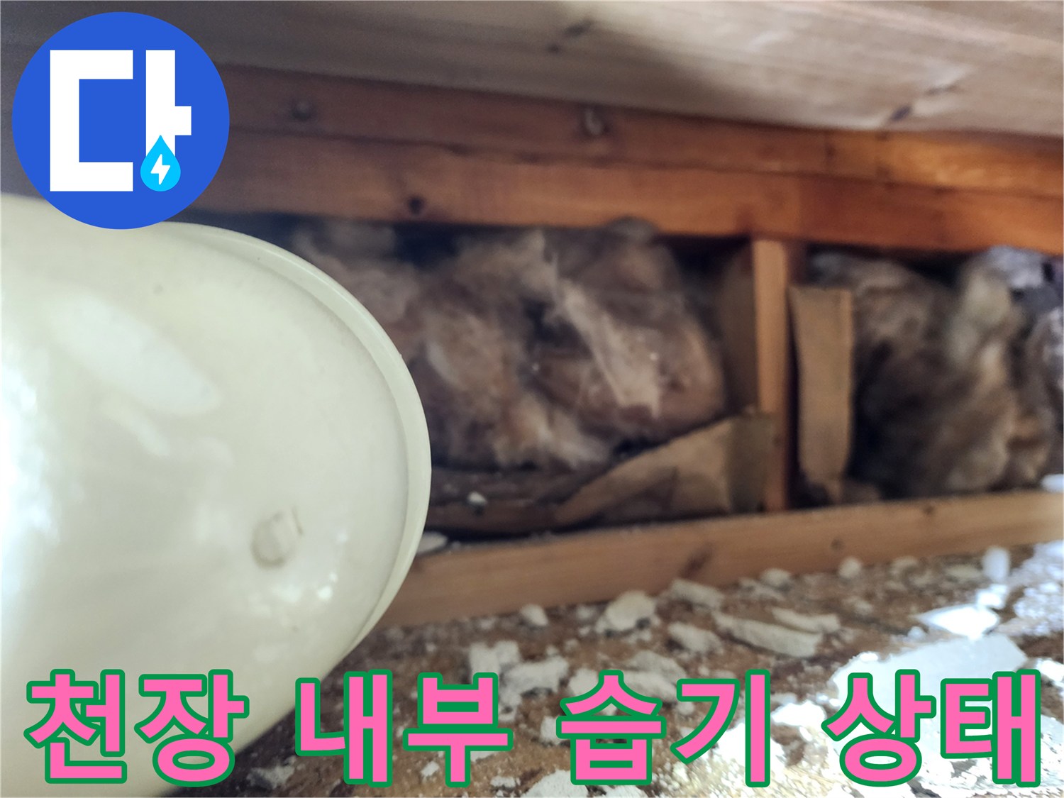 화장실-천장-내부-습기로-오염된-상태