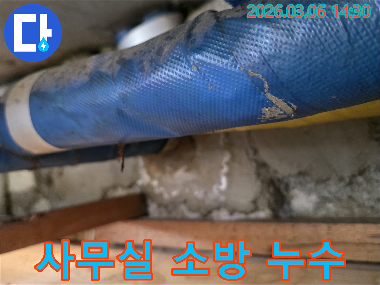 사무실 천장 하부-파란색 소방배관과-젖은 콘크리트 벽면-그리고 나무 지지대를-꼼꼼히 점검하는 모습