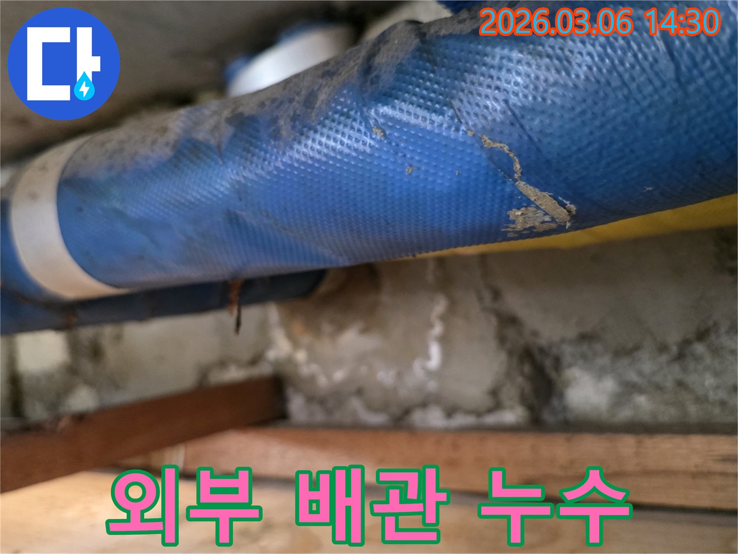 주택 외부 하부-파란색 배관과-젖은 흙벽면-그리고 나무 지지대를-꼼꼼히 점검하는 모습