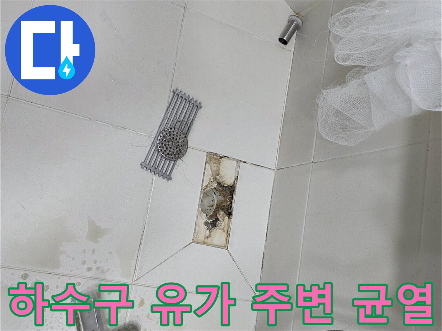 화장실-배수구-주변-타일-틈새-침투-현상