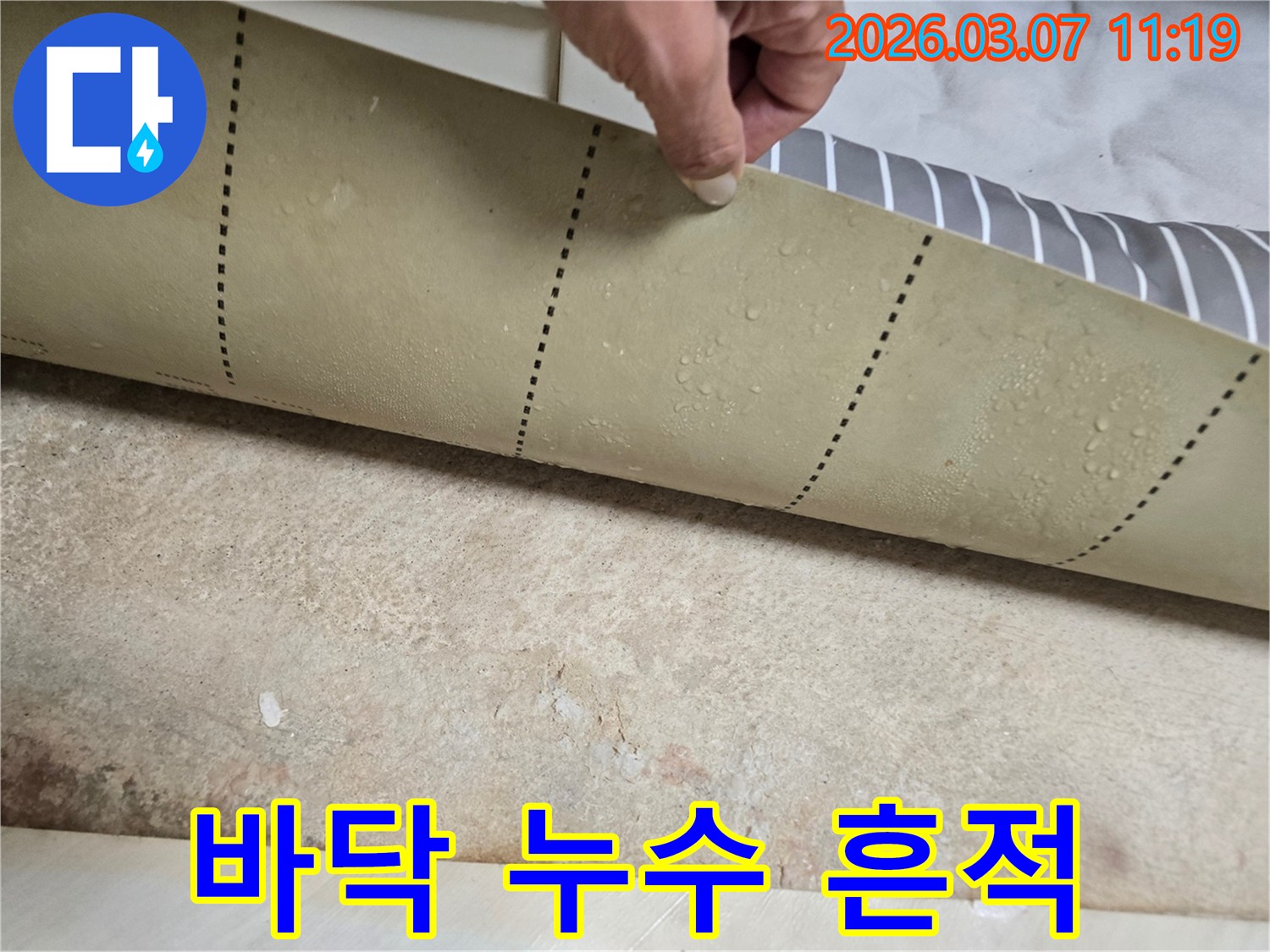 누수-전문가가-장판-아래-숨겨진-물기를-확인하는-장면