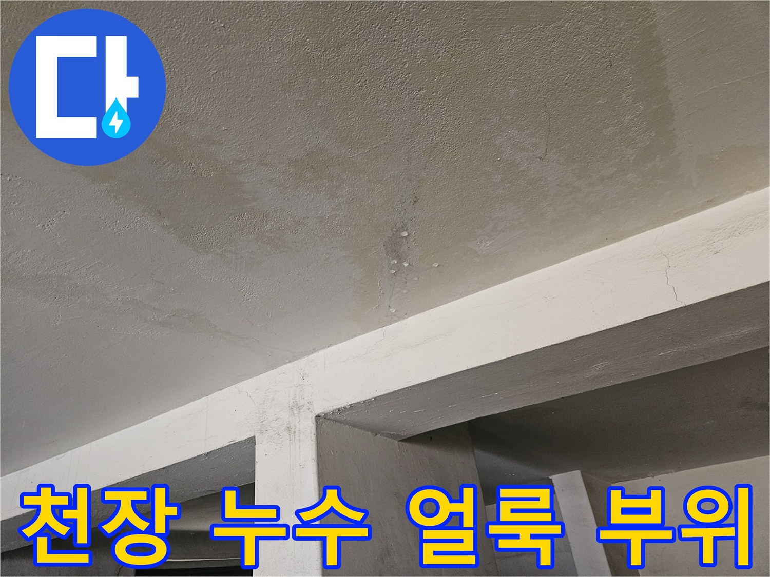 습기가 침투하여 변색된 주차장 천장 콘크리트