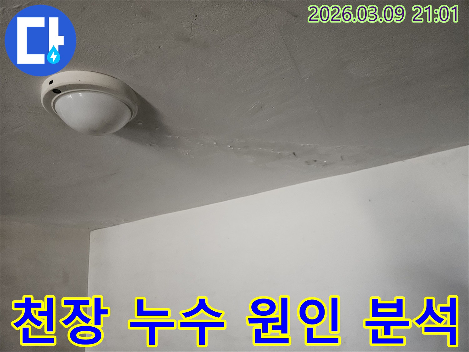 천장-조명-주변에-물에-젖어-생긴-누수-흔적을-바탕으로-원인을-분석하는-현장입니다
