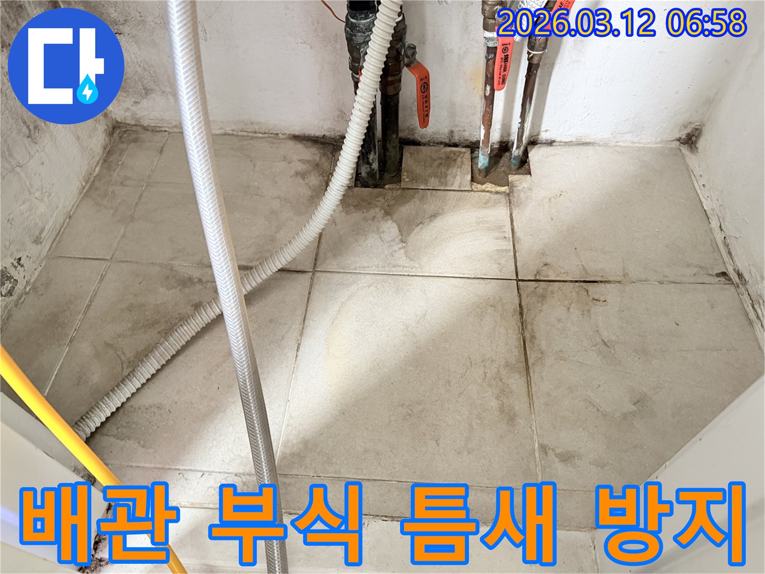 낡은-배관-연결부와-그-주변의-습기-및-곰팡이를-보여주는-누수-현장-사진