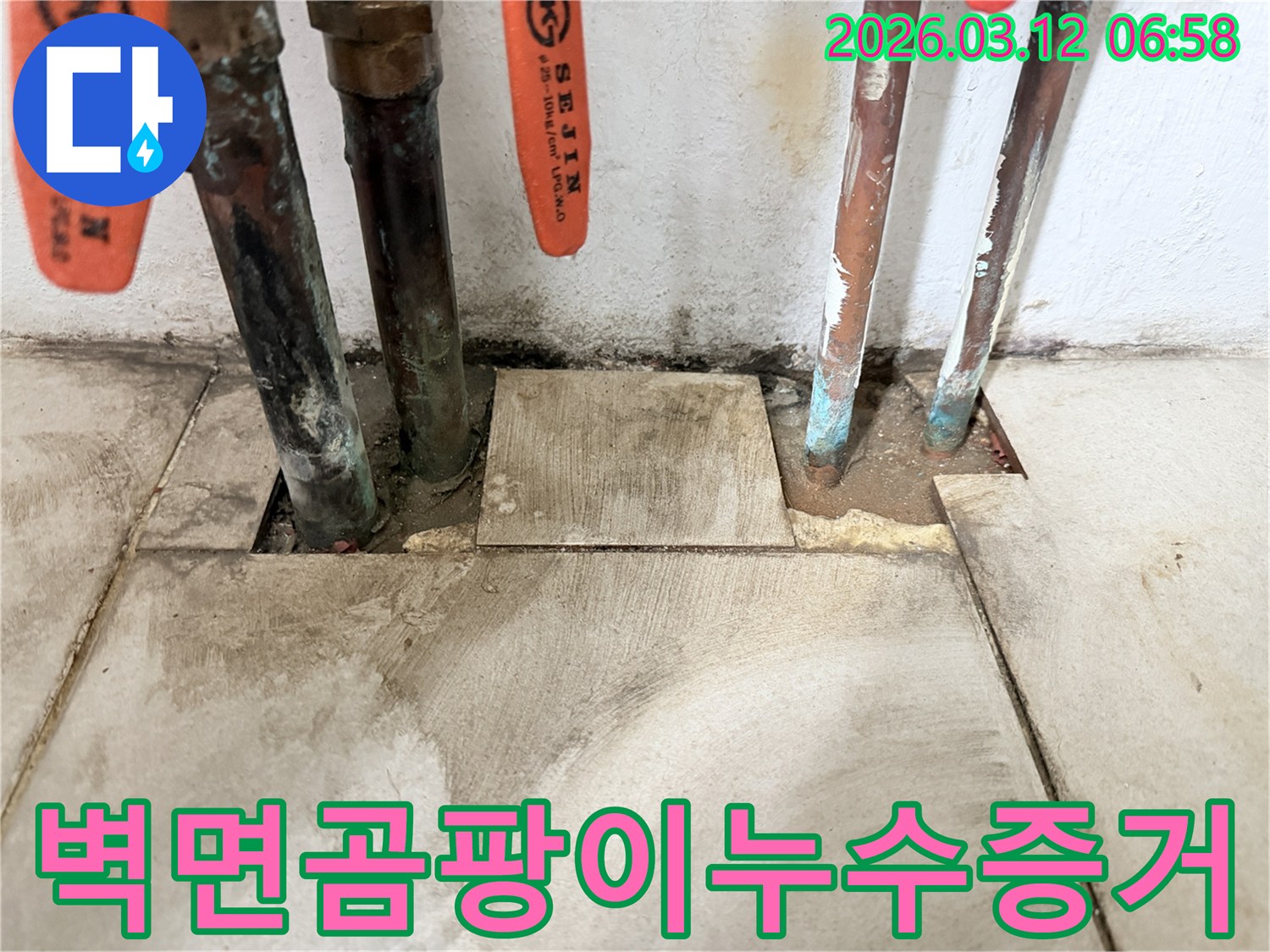 마포구-현장에서-오래된-배관의-누수로-인해-벽면에-생겨난-곰팡이가-누수의-명확한-증거임을-확인하고-있습니다