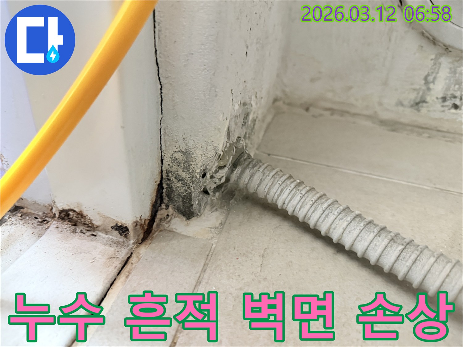 물샘-현상으로-인해-벽지가-손상되고-곰팡이가-번진-마포구-주택-내부