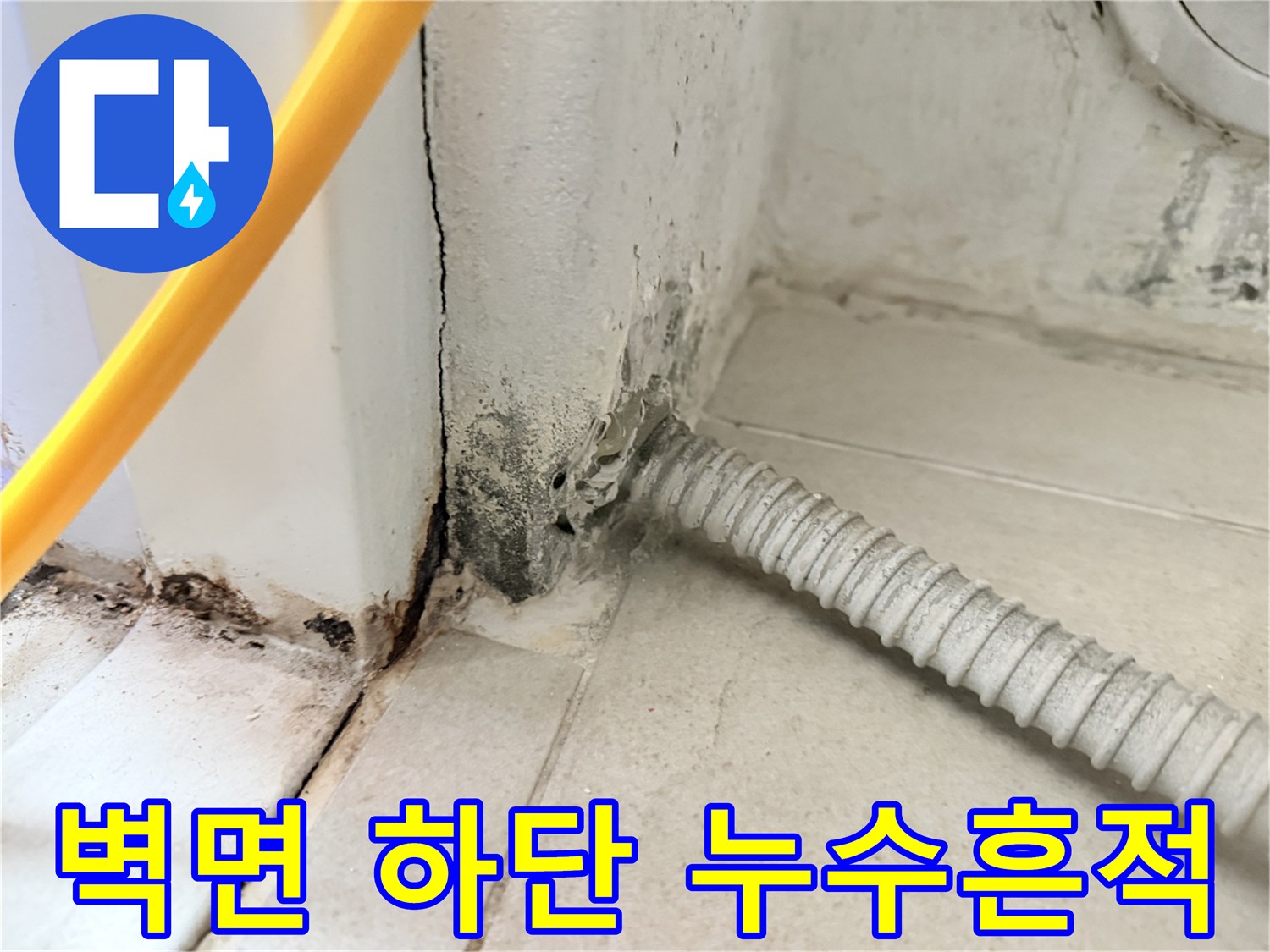 배관-통로-주변의-검은색-곰팡이와-젖은-벽면